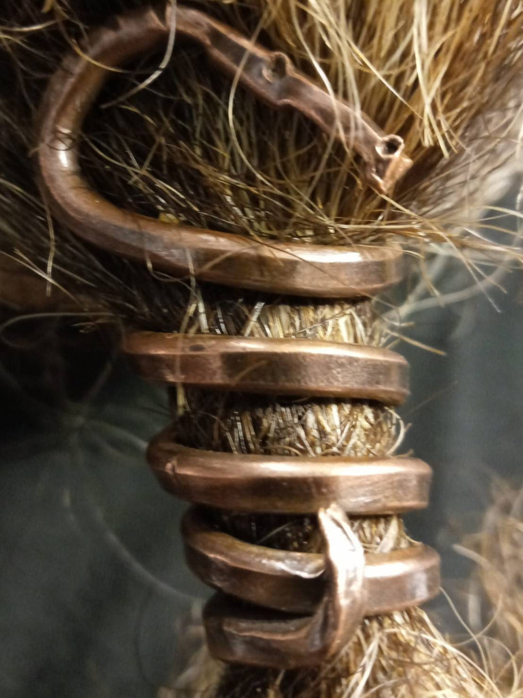 Copper Beard Coil